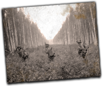 GFX_report_event_FIN_continuation_war